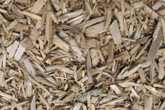 biomass boilers Cairminis